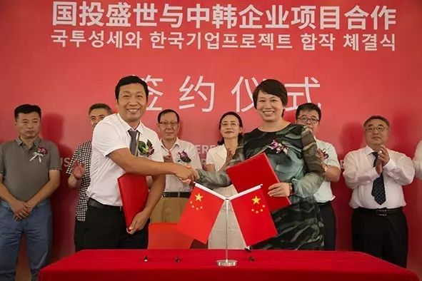 沸石环保新材料产业园首家中外合资企业正式成立-国投盛世