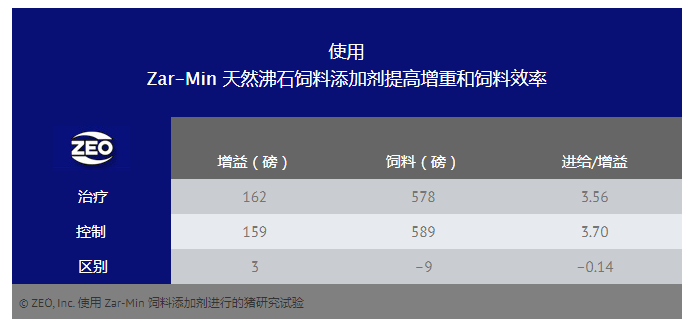 天然沸石饲料添加剂有益于猪的健康和生长