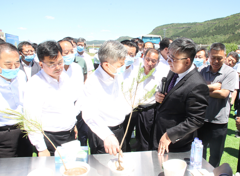 承德市市委书记董晓宇率市重点项目百人观摩团莅临国投盛世观摩考察-国投盛世