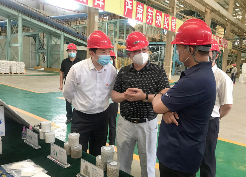 承德市委常委、组织部部长颜世东莅临国投盛世考察调研-国投盛世