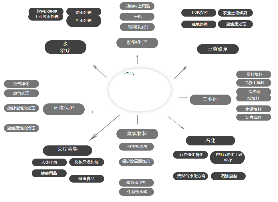 斜发沸石及应用-国投盛世