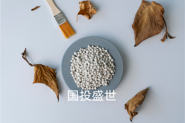 沸石分子筛干燥及净化领域的应用，国投盛世