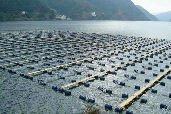 水产养殖中使用沸石粉
