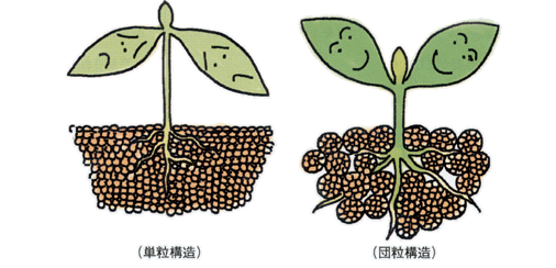 沸石如何应用于土壤改良领域？