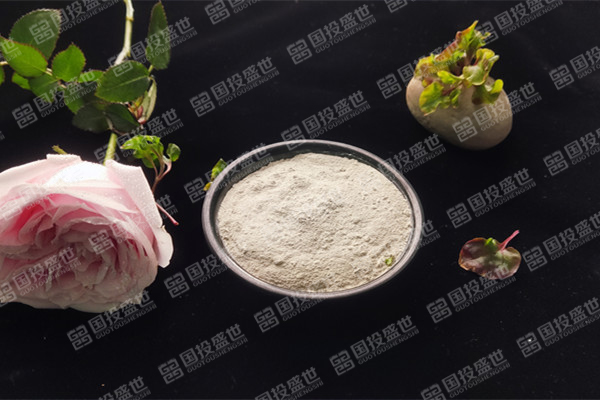 沸石的性质与应用范围