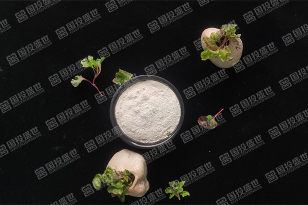 斜发沸石可制成天然矿物质补充饲料