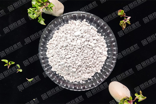 沸石在环境修复中的作用有什么？