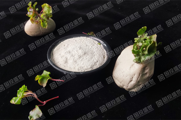 目前沸石饲料添加剂价格是多少？