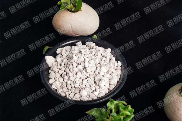 种植多肉植物时应用国投盛世沸石的好处