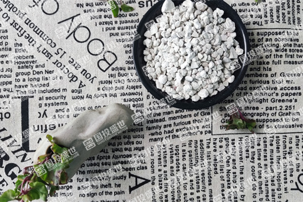 沸石在多肉植物养护中的作用及方法