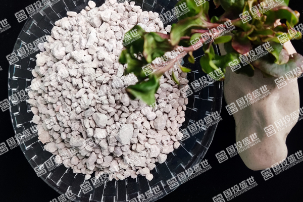 沸石在人工湿地中的作用-国投盛世