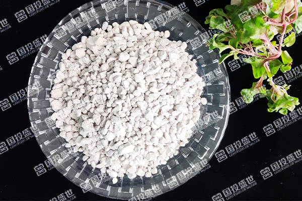 沸石在石油化工领域的应用与功能-国投盛世