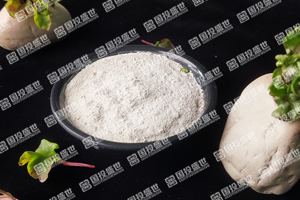 沸石粉：探索其作用与发展趋势-国投盛世