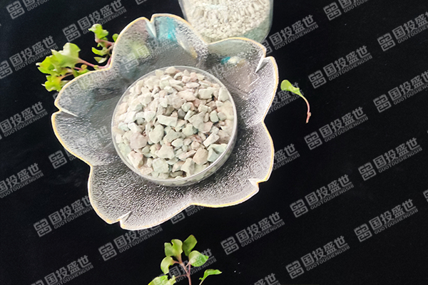 沸石在人工湿地生态系统中的应用-国投盛世