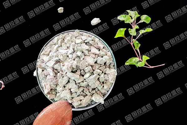 沸石在塑料生产中能否成为解决环境问题的关键材料？
