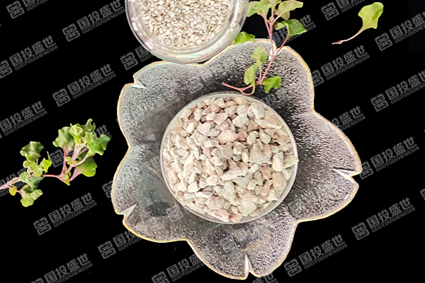 沸石能否提升蔬菜种植效果？