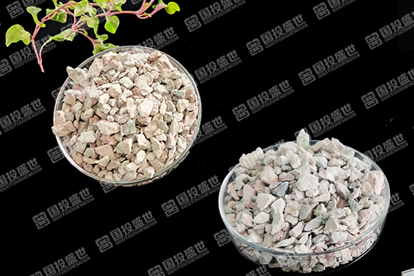 天然沸石如何助力番茄种植迈向绿色高效？-国投盛世