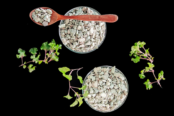 种植黄豆时能使用沸石吗？