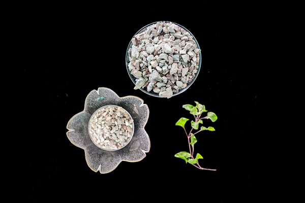 种植莲藕时加入沸石能提高产量吗？-国投盛世