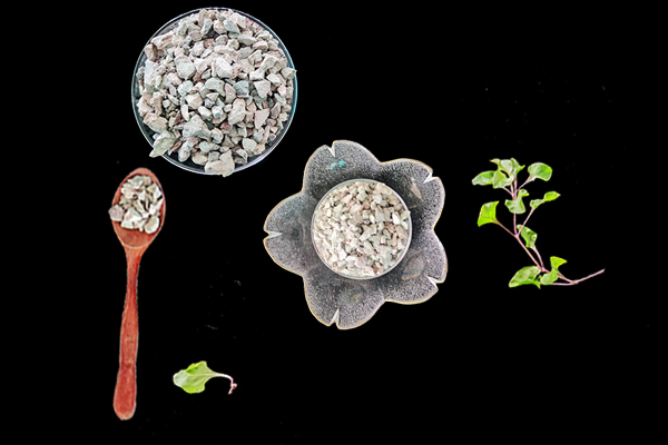 种植雪里蕻时加入沸石能提升产量吗？