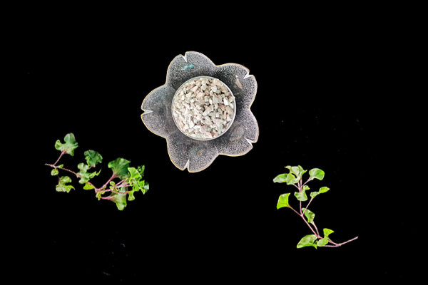 天然沸石对油菜种植有什么影响？