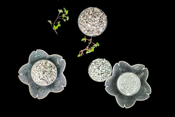 小米辣种植能借助沸石提升品质吗？