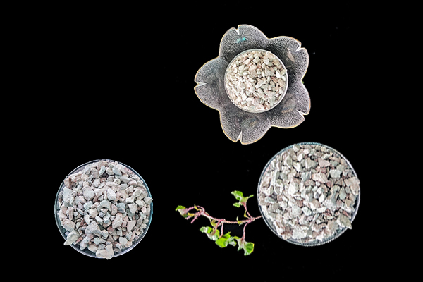莴苣种植时添加沸石能提升产量吗？-国投盛世