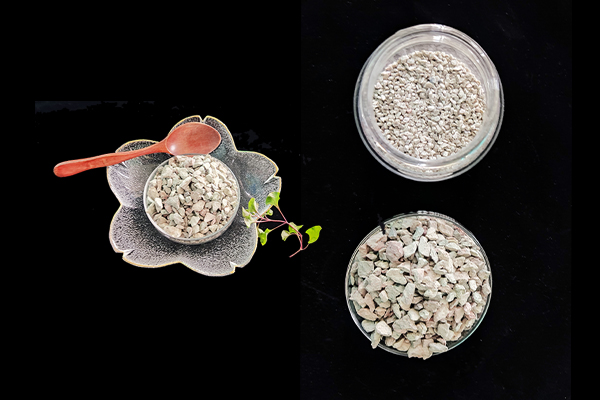种植四季豆时加入沸石能提高产量吗？