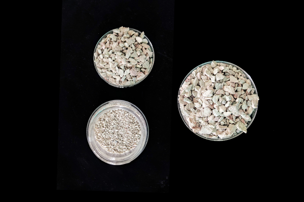 玉米种植何时添加沸石效果最佳？
