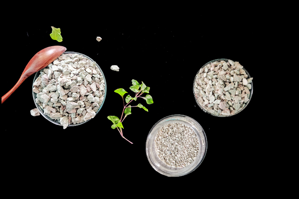 何时添加沸石于大麦种植最有效？-国投盛世