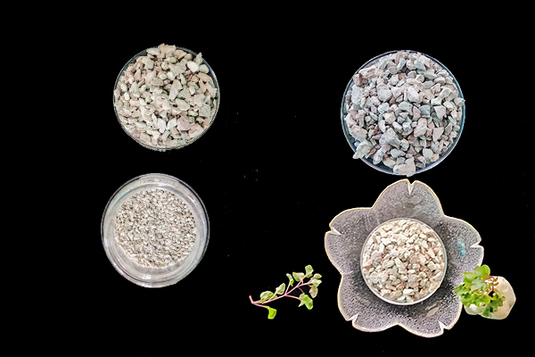 菠菜种植阶段能使用沸石吗？